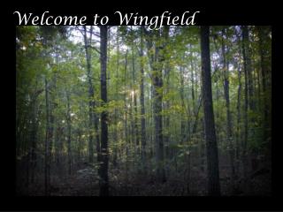 Welcome to Wingfield