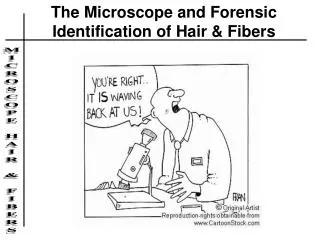 The Microscope and Forensic Identification of Hair &amp; Fibers