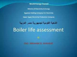 World Energy Council Ministry Of Electricity &amp; Energy Egyptian Holding Company For Electricity Upper Egypt Electrici