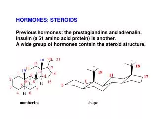 HORMONES: STEROIDS Previous hormones: the prostaglandins and adrenalin. Insulin (a 51 amino acid protein) is another.