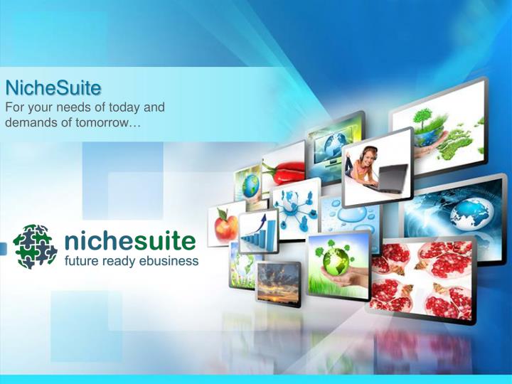 nichesuite logo