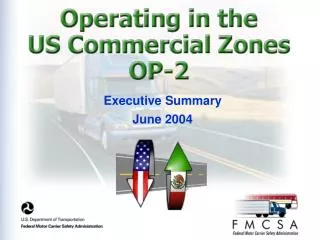 Executive Summary June 2004