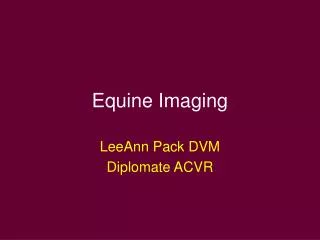 Equine Imaging