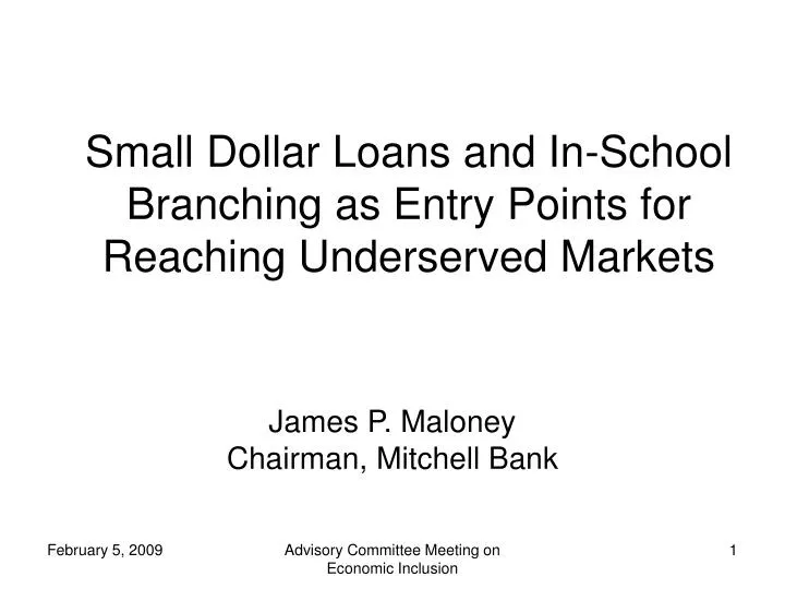 small dollar loans and in school branching as entry points for reaching underserved markets