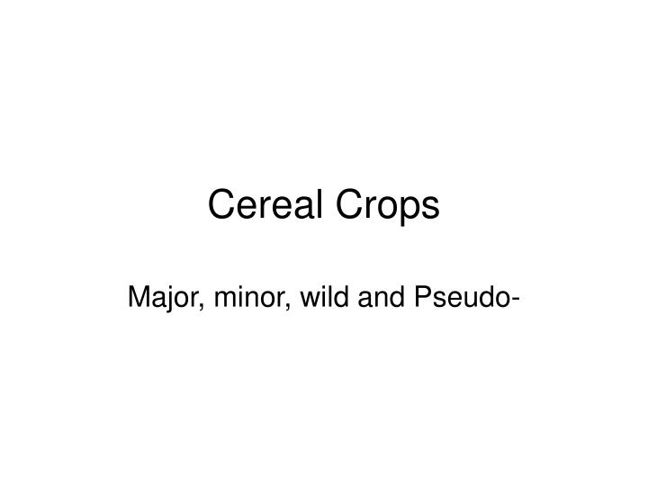 cereal crops