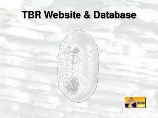 TBR Website &amp; Database