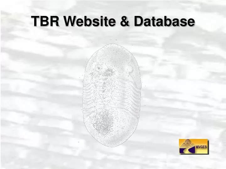 tbr website database