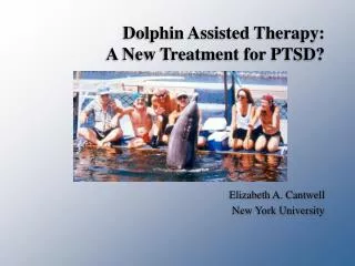 Dolphin Assisted Therapy: A New Treatment for PTSD?