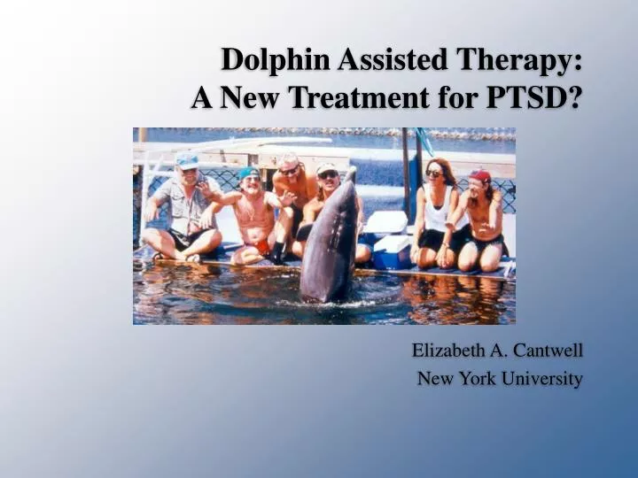 dolphin assisted therapy a new treatment for ptsd
