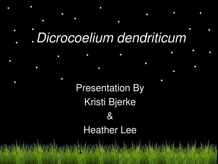 dicrocoelium dendriticum