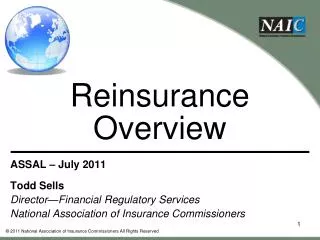 Reinsurance Overview