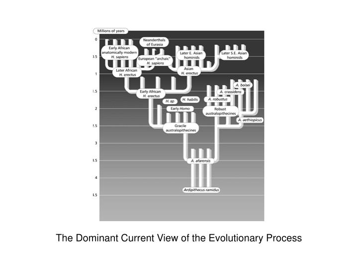 the dominant current view of the evolutionary process