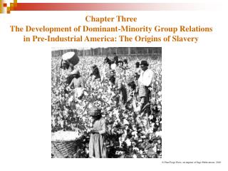 Chapter Three The Development of Dominant-Minority Group Relations in Pre-Industrial America: The Origins of Slavery