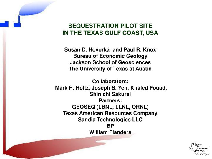 sequestration pilot site in the texas gulf coast usa