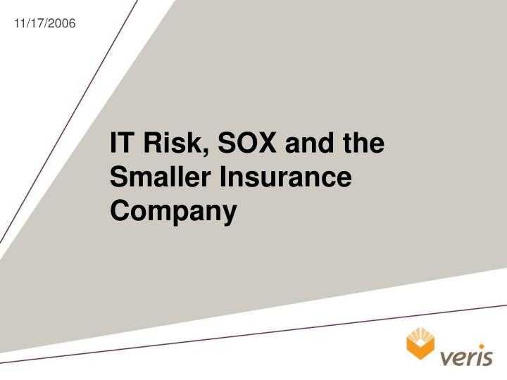 it risk sox and the smaller insurance company