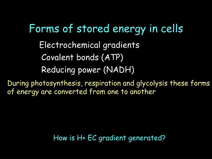 forms of stored energy in cells