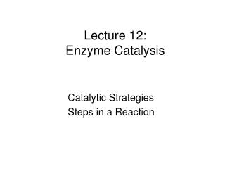 Lecture 12: Enzyme Catalysis