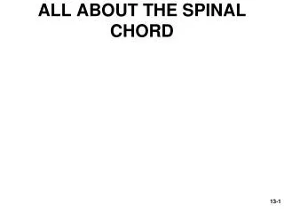 ALL ABOUT THE SPINAL CHORD