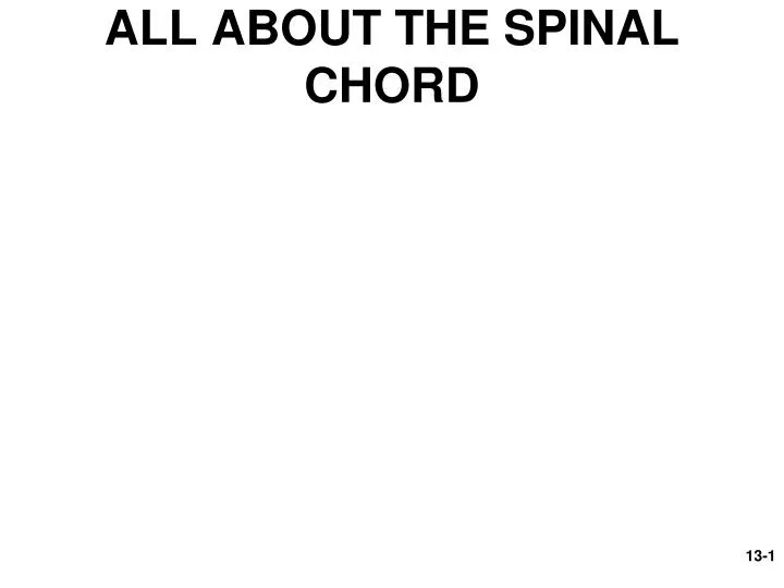 all about the spinal chord