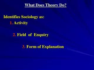 What Does Theory Do?