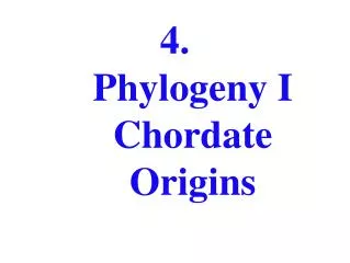 4. Phylogeny I Chordate Origins