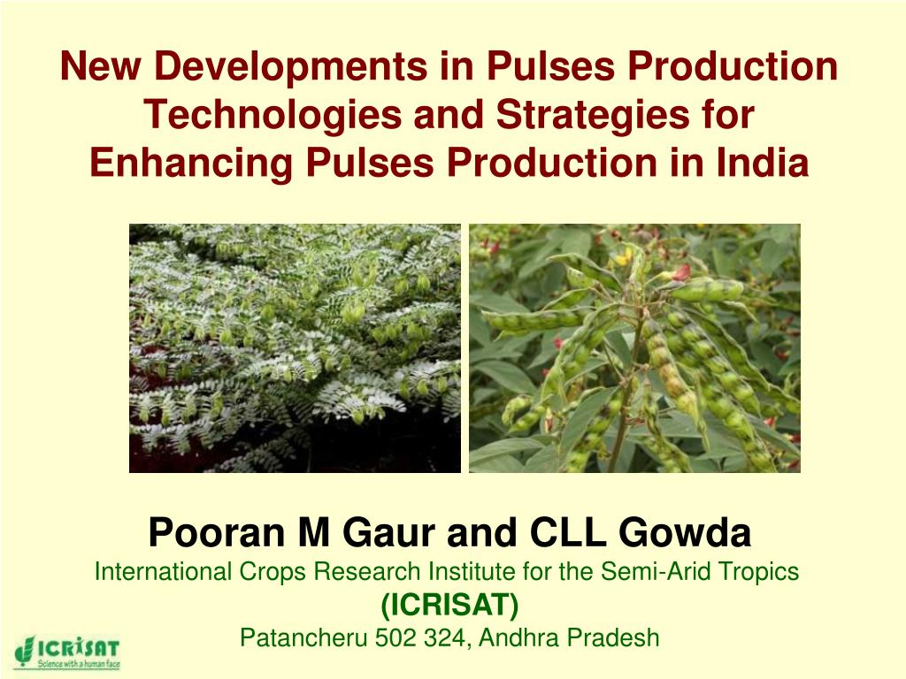 PPT - New Developments in Pulses Production Technologies and Strategies ...