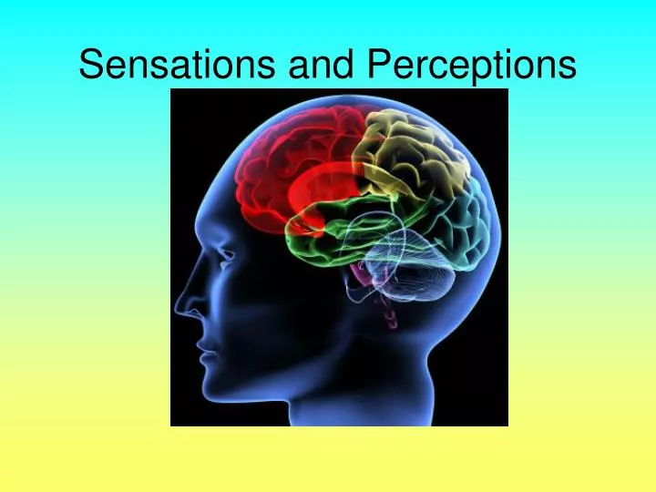 sensations and perceptions