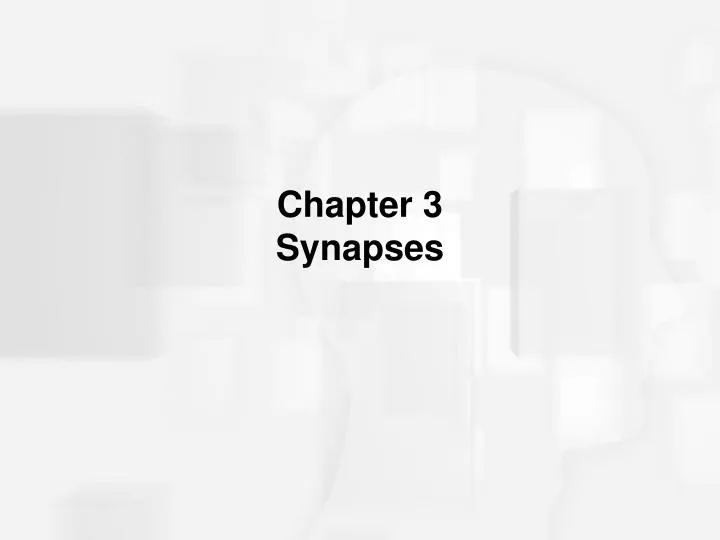 chapter 3 synapses
