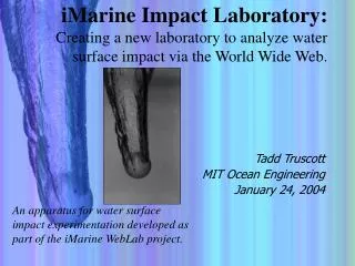 iMarine Impact Laboratory: Creating a new laboratory to analyze water surface impact via the World Wide Web.