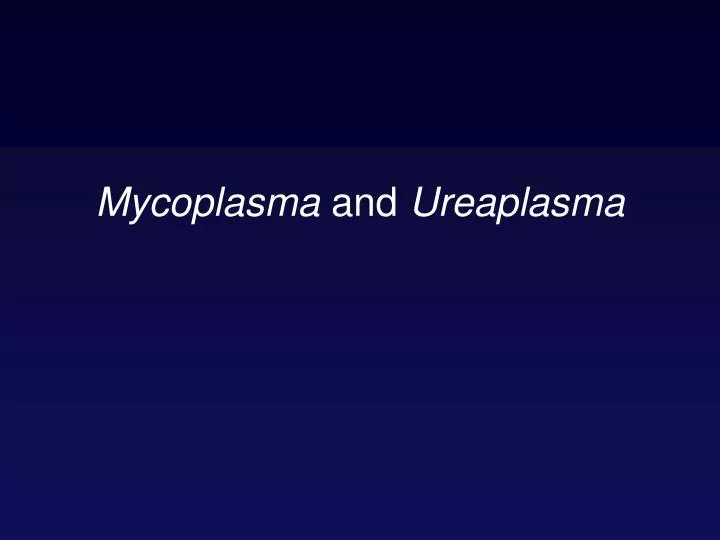 mycoplasma and ureaplasma