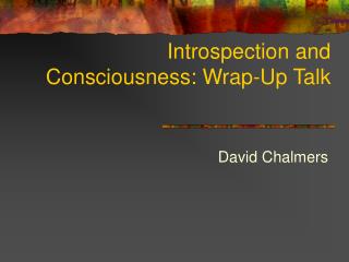 Introspection and Consciousness: Wrap-Up Talk