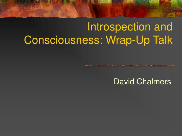 introspection and consciousness wrap up talk