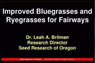 Improved Bluegrasses and Ryegrasses for Fairways