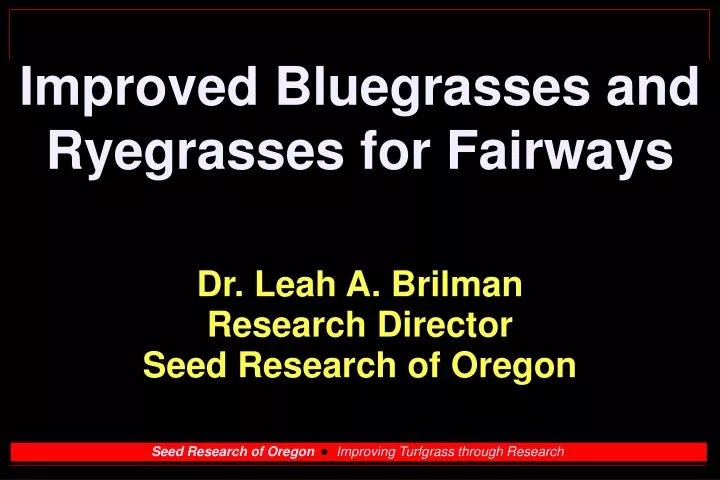improved bluegrasses and ryegrasses for fairways