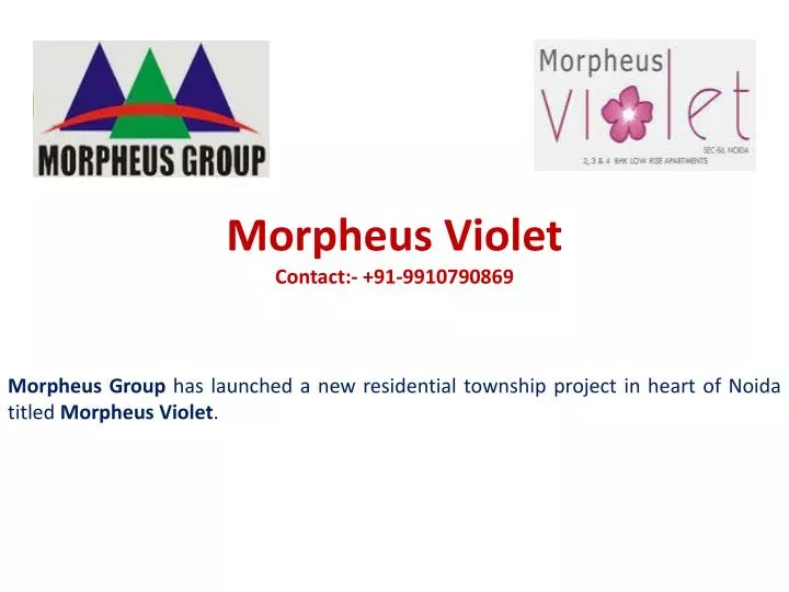 morpheus violet contact 91 9910790869