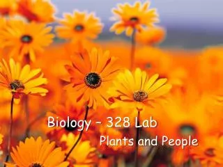 Biology – 328 Lab