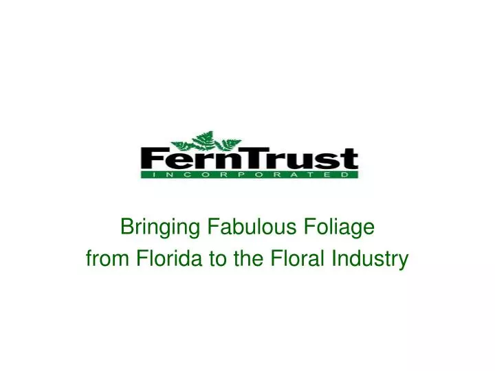 bringing fabulous foliage from florida to the floral industry