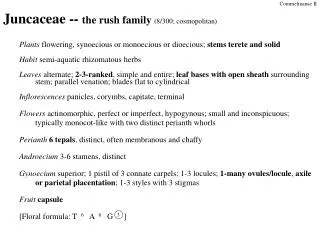 Juncaceae -- the rush family (8/300; cosmopolitan)