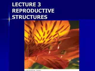LECTURE 3 REPRODUCTIVE STRUCTURES