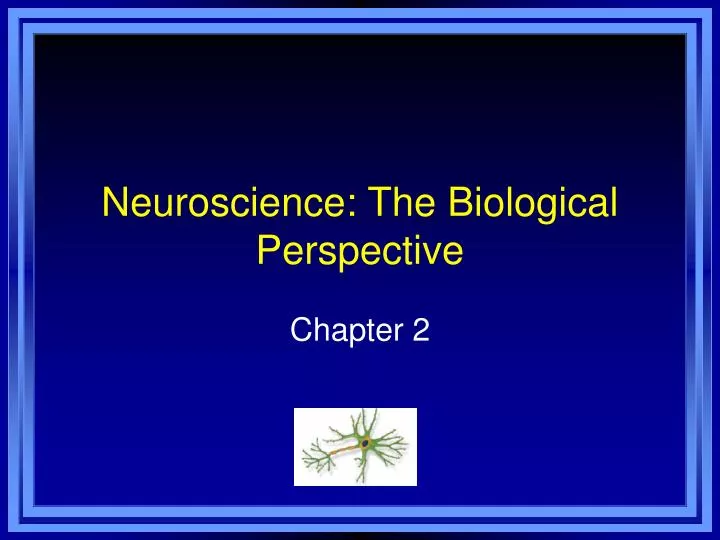 neuroscience the biological perspective