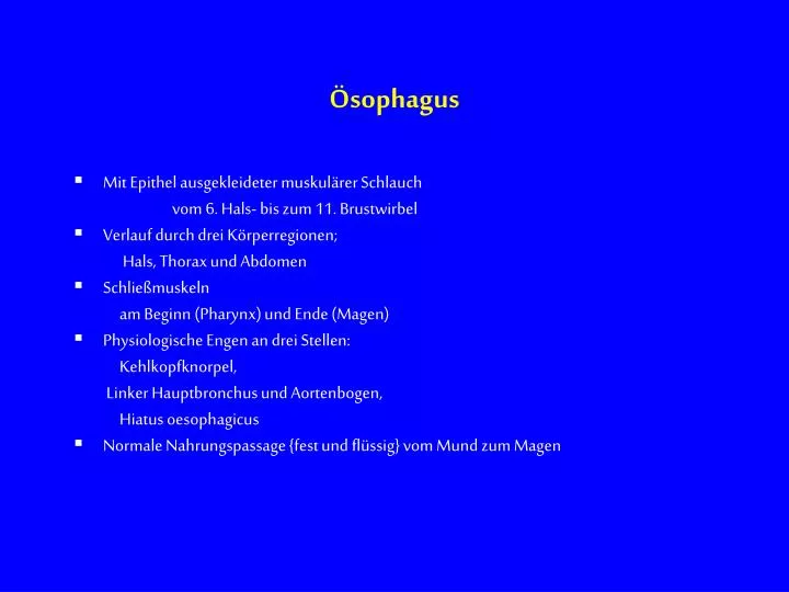 sophagus