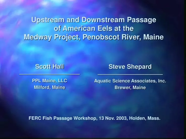upstream and downstream passage of american eels at the medway project penobscot river maine