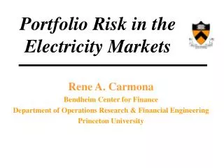 Portfolio Risk in the Electricity Markets
