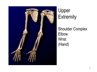 Upper Extremity Shoulder Complex Elbow Wrist (Hand)