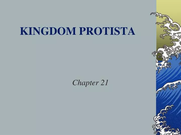 kingdom protista