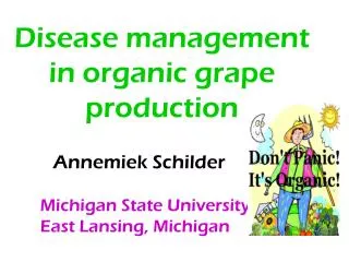 Disease management in organic grape production Annemiek Schilder Michigan State University East Lansing, Mic