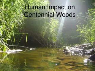 Human Impact on Centennial Woods