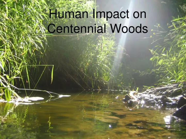 human impact on centennial woods