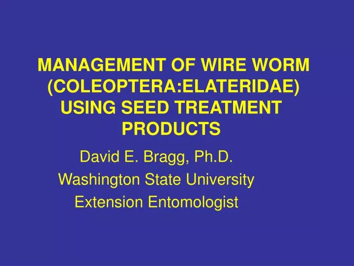 management of wire worm coleoptera elateridae using seed treatment products