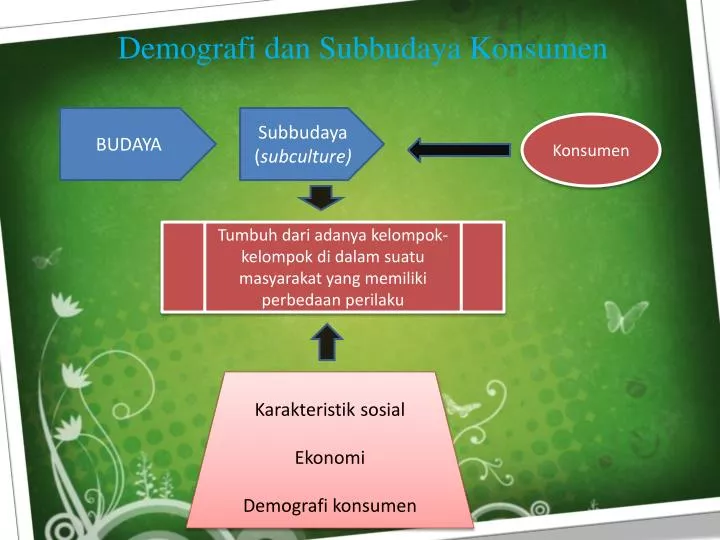 demografi dan subbudaya konsumen